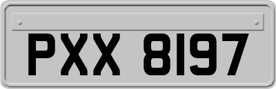 PXX8197