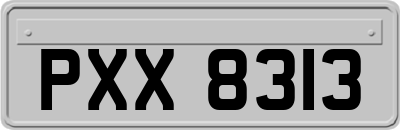 PXX8313