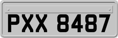 PXX8487