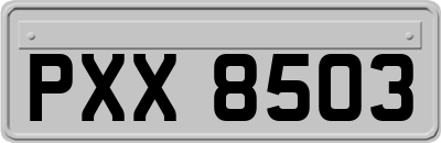 PXX8503