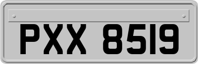 PXX8519