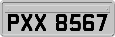 PXX8567