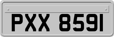 PXX8591