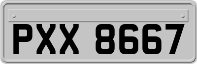 PXX8667