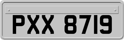 PXX8719