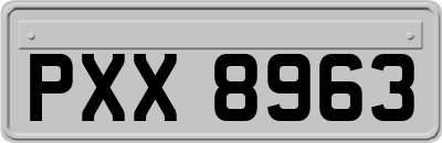 PXX8963