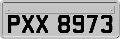 PXX8973