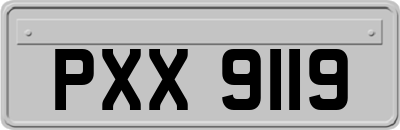 PXX9119