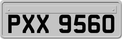 PXX9560