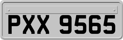 PXX9565