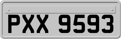 PXX9593