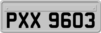 PXX9603