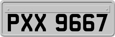 PXX9667