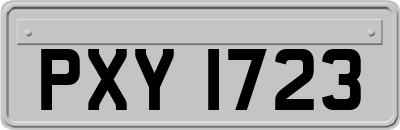 PXY1723