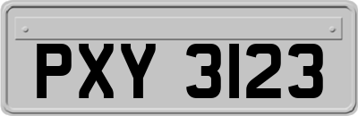 PXY3123