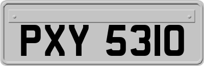 PXY5310