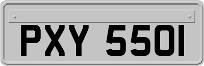 PXY5501