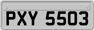 PXY5503