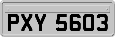 PXY5603