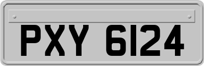 PXY6124