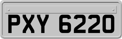 PXY6220