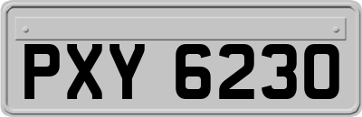 PXY6230