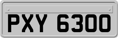 PXY6300