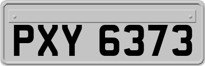 PXY6373