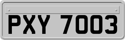 PXY7003