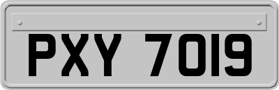 PXY7019