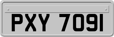 PXY7091