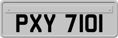 PXY7101