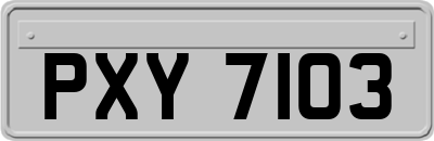 PXY7103