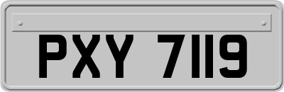 PXY7119