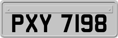 PXY7198