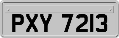 PXY7213