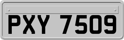 PXY7509