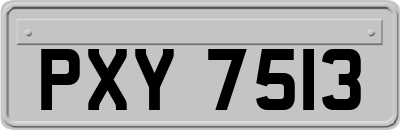 PXY7513