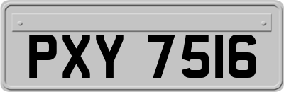 PXY7516