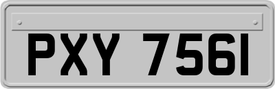 PXY7561