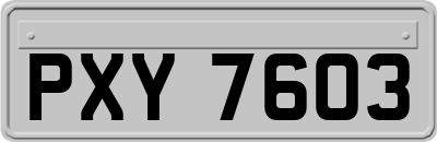 PXY7603