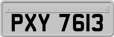 PXY7613