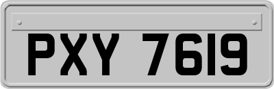 PXY7619