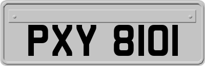 PXY8101