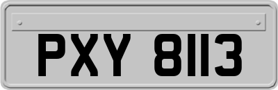 PXY8113