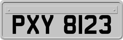 PXY8123