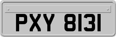 PXY8131