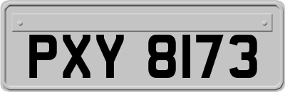 PXY8173