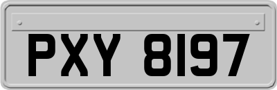 PXY8197