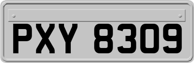 PXY8309